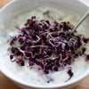 🥣 Radieschen-Sprossen-Dip mit Quark & Joghurt 🌱