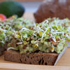 Guacamole Rettich Sprossen Sandwich