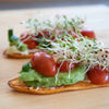 Süßkartoffel-Scheiben mit Avocado, Cherrytomaten und frischen Alfalfa-Sprossen – gesundes Rezept mit Keimsaat