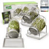 Green Friday TRIPLE DEAL - GreenSeeds Store