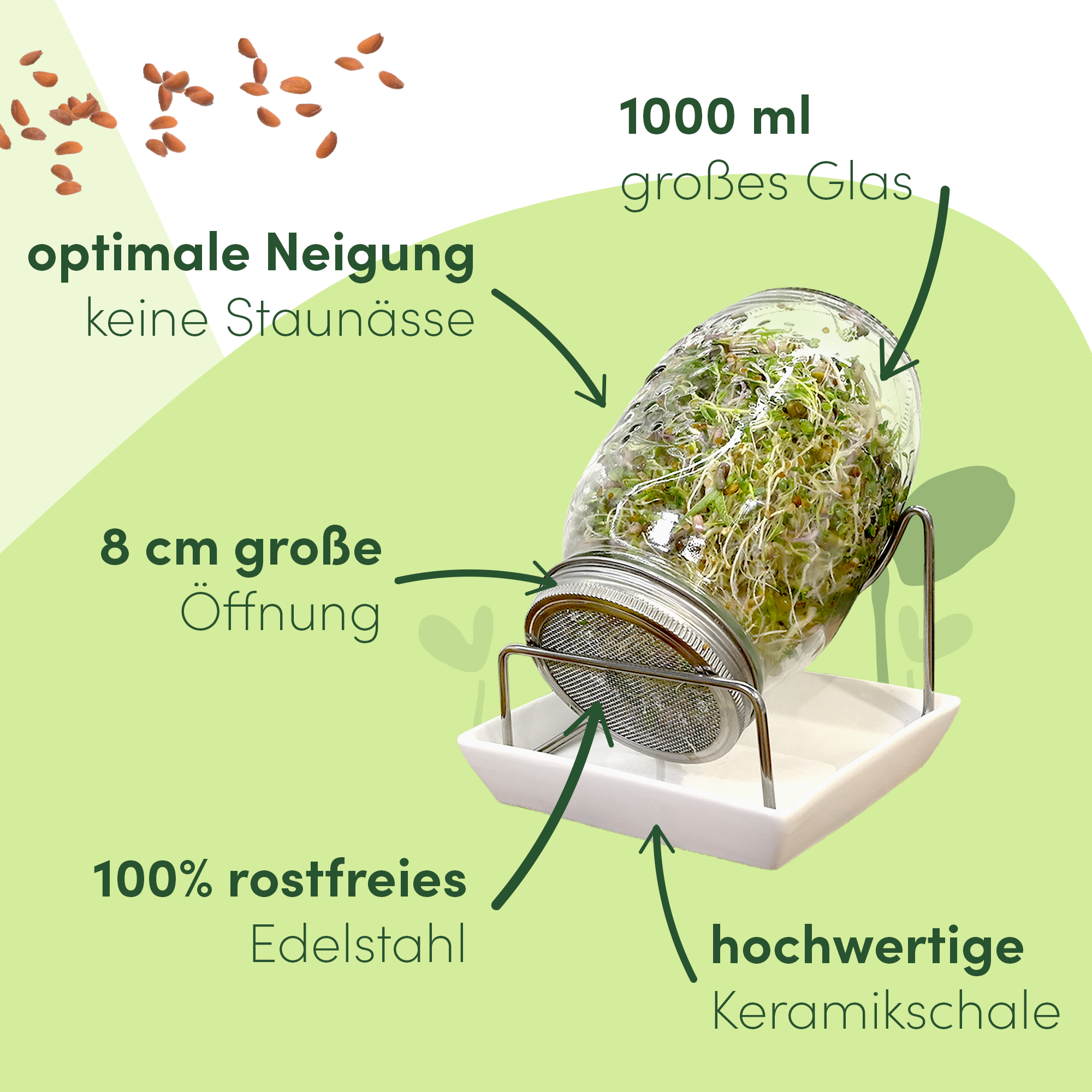 Sprossenglas 3er Set mit Keramikschale + Kressesieb + 3 x Saatgut